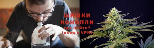 дурь Гусиноозёрск