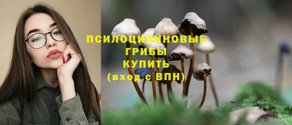 дурь Гусиноозёрск