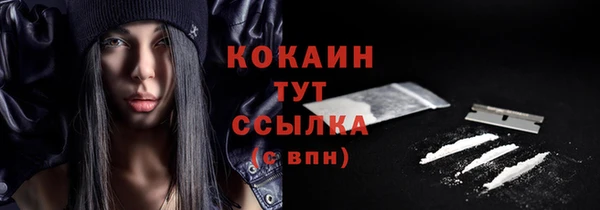 СК Гусь-Хрустальный