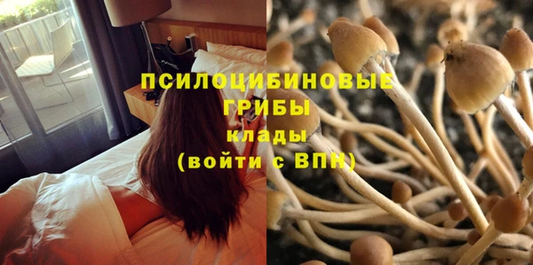 дурь Гусиноозёрск