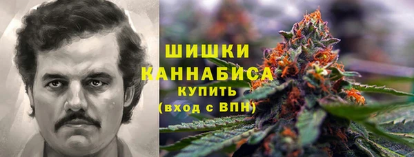 СК Гусь-Хрустальный