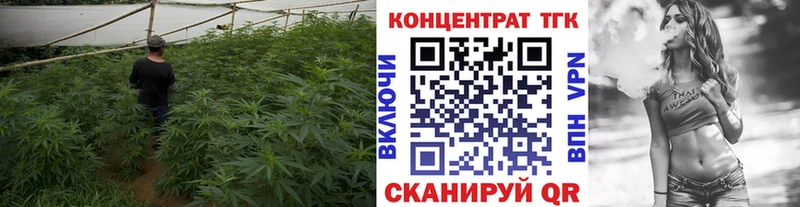 Дистиллят ТГК жижа  Купить где  Киселёвск 