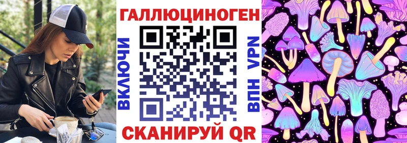 Купить где  Киселёвск  Галлюциногенные грибы Cubensis 